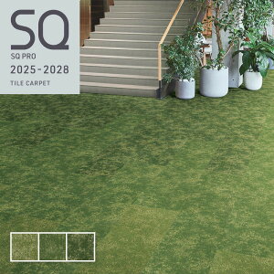 sAh Rr PIK ^CJ[ybg  50cm×50cm ` VR[ O[n Όn LbYXy[X