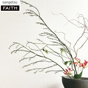 ǎ  DIY C \ vCx[g [NXy[X Q a a L samekomon   ̂Ȃ TQc tFCX TH32819