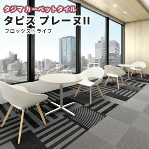 ^W} ^CJ[ybg 500×500mm ^sXv[kIIisjubNXgCv 6.0mm