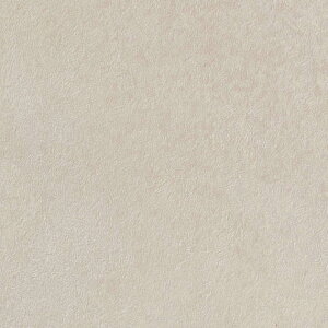 ǎ  C Lb` gC q  ǎ\ւ ̂Ȃ TQc tFCX NX TH32007