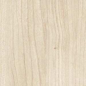 ǎ  C Lb` gC q  ǎ\ւ ̂Ȃ TQc tFCX NX TH32605