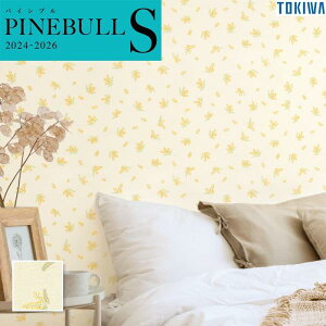 TWS8268 ǎ gL pCuS ԕ ԕ [t CG[n Fn p^[ R h