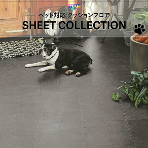 y182cm×20mz ȒPݒuNbVtA yΉ ybgΉ Xg[ Ζ  NbVV[g gΉ yΉ 2.3mm NCubN CF3550