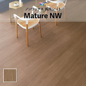 FS4217 ڃV[g yΉ  }`ANW 2mm 182cm ؖ VL[ibg