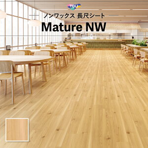 FS4225 ڃV[g yΉ  }`ANW 2mm 182cm ؖ 