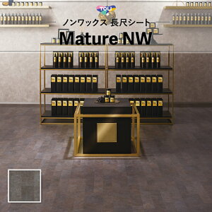 FS4259 ڃV[g yΉ  }`ANW 2mm 182cm Ζ Xg[ AXgbg^ubN