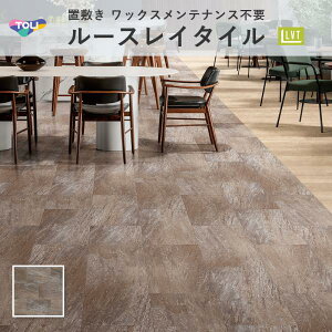 [XC50NW-EX ][gNH[cTCg TTN3606tA^C  5mm 333.3mm×500mm 12 P[X̔