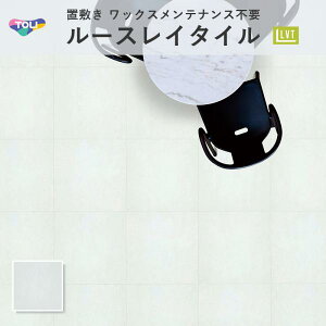 [XC50NW-EX JsXg[m TTN3201 tA^C  5mm 500mm×500mm 10 P[X̔