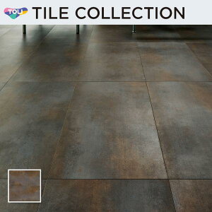 PST4158 tA^C  450×900mm CXg[EA ACAv[g P[X̔(8)