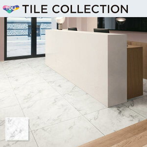 PST4105 tA^C  600×600mm CXg[EA zCg}[u P[X̔(10)