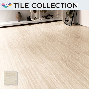 PST4115 tA^C  450×900mm CXg[EA O[Xgo[` P[X̔(8)