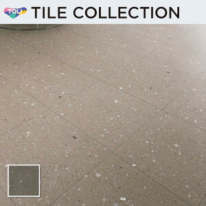 PST4148 フロアタイル 東リ 450×450mm ロイヤルストーン・モア 札幌軟石 枚販売