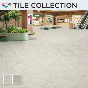 tA^C  600×600mm CXg[EA RRbgE[F P[X̔(10)