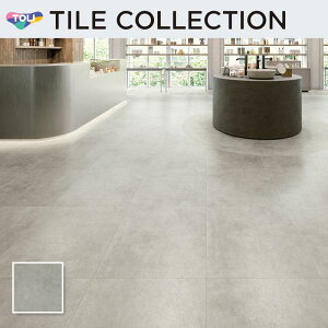 PST4013 tA^C  600×600mm CXg[E~[W iVo[ P[X̔(10)