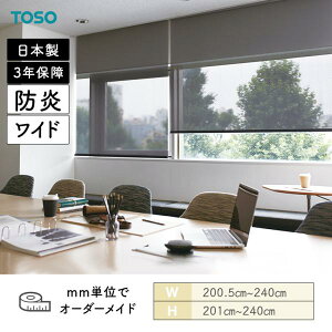 ���[���X�N���[�� �G�N�Z�� �h�� ��2005mm�`2400mm ����2010mm�`2400mm TOSO
