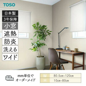 �������[���X�N���[�� �g���A�X�v���[���ՔM ��805mm�`1200mm ����100mm�`800mm TOSO