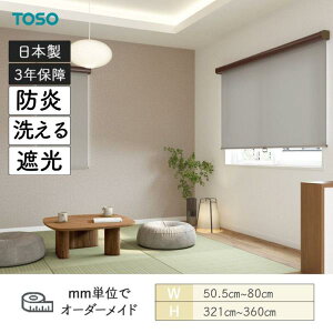 ���[���X�N���[�� �c�B�[�h �􂦂鐶�n �h�� �Ռ� ��505mm�`800mm ����3210mm�`3600mm TOSO