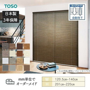 EbhuCh [vR[h xlEbh^b`50 _[R[h ~ 1205mm`1400mm 2010mm`2200mm TOSO 