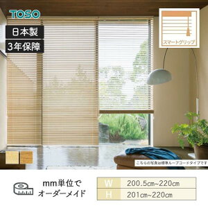 EbhuCh  X}[gObv~ _[R[h xlEbhX}[g50 2005mm`2200mm 2010mm`2200mm TOSO 