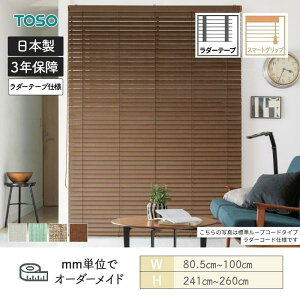 EbhuCh Be[W X}[gObv~ _[e[v xlEbhX}[g50 805mm`1000mm 2410mm`2600mm TOSO 