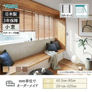 EbhuCh UCN R[hbh^Cv _[e[v xlEbh50T 605mm`800mm 2010mm`2200mm TOSO 