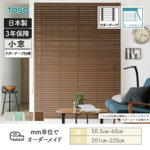 EbhuCh Be[W R[hbh^Cv _[e[v xlEbh50T 505mm`600mm 2010mm`2200mm TOSO 