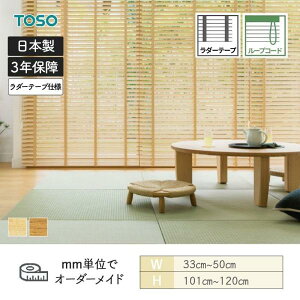 �E�b�h�u���C���h �X�y�V�����e�B �� �W�����[�v�R�[�h ���_�[�e�[�v �x�l�E�b�h50 ��330mm�`500mm ����1010mm�`1200mm TOSO ��������