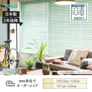 EbhuCh Be[W [vR[h~ _[R[h xlEbh^b`50 1005mm`1200mm 1010mm`1200mm TOSO 