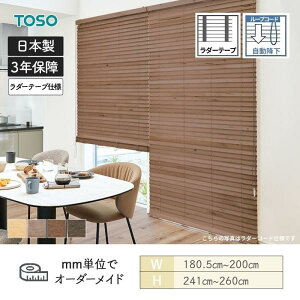 ウッドブラインド アース ループコード自動降下 ラダーテープ ベネウッドタッチ50 幅1805mm〜2000mm 高さ2410mm〜2600mm TOSO 送料無料