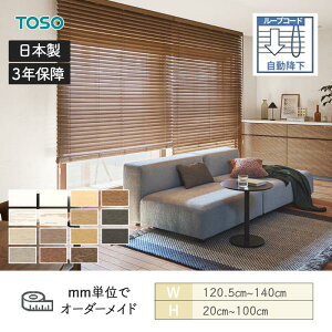 EbhuCh X^_[h [vR[h(~) xlEbh^b`50 _[R[h 1205mm`1400mm 200mm`1000mm TOSO 