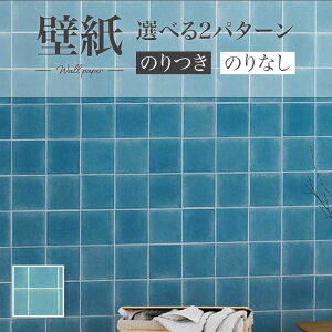 LW-257 ^C  ̂Ȃǎ WILL J  C