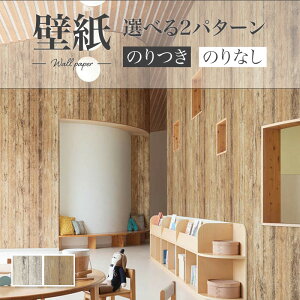 AeB[NEbh ؖ ̂Ȃǎ WILL J  C