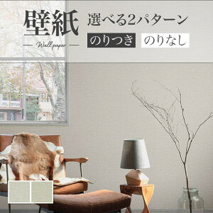 X[p[ h~ ybgΉ ̂Ȃǎ WILL J  C