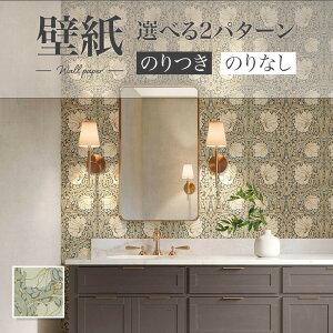 LW-89 EBAX t[ ԕ `[bv sp[l O[n ̂Ȃǎ WILL J  C