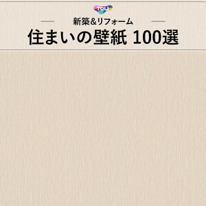 WVC881 XgCv zCgn n  ʏ _ i` h~  Z܂100I ̂Ȃ