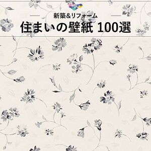 WVC884 ԕ A tF~j GKg  Z܂100I ̂Ȃ