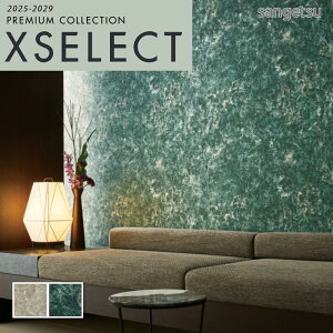 ǎ ̂t ̂Ȃ NX TQc GNZNg Cool