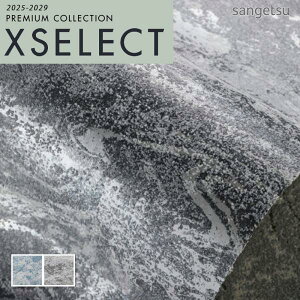 ǎ ̂t ̂Ȃ NX TQc GNZNg Cool