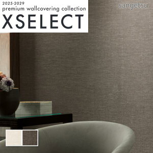 ǎ ̂t ̂Ȃ NX TQc D sRF