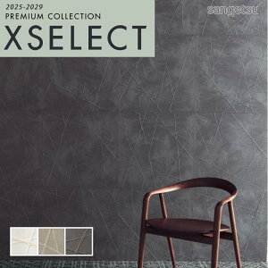 ǎ ̂t ̂Ȃ NX TQc GNZNg KAGETOHIKARI G