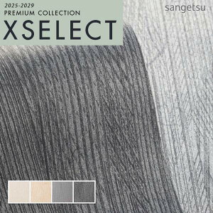 ǎ ̂t ̂Ȃ NX TQc GNZNg KAGETOHIKARI G