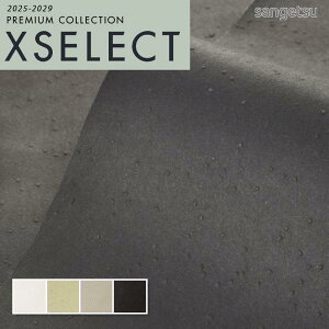 ǎ ̂t ̂Ȃ NX TQc GNZNg KAGETOHIKARI G