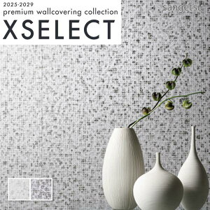 ǎ ̂t ̂Ȃ NX TQc a