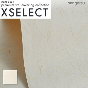 SGM1114 ǎ ̂t ̂Ȃ NX TQc a