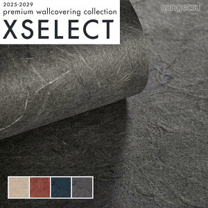 ǎ ̂t ̂Ȃ NX TQc a