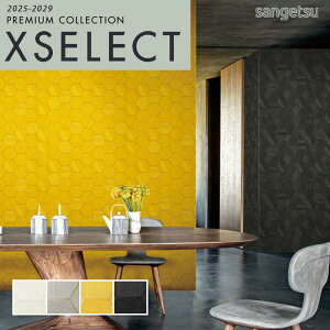 ǎ ̂t ̂Ȃ NX TQc GNZNg 53cmx1000cm ̔ AUTOMOBILI LAMBORGHINI