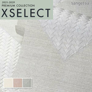 ǎ ̂t ̂Ȃ NX TQc GNZNg 53cmx1000cm ̔ AUTOMOBILI LAMBORGHINI