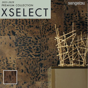 SGP1711 ǎ ̂t ̂Ȃ NX TQc GNZNg ELITIS