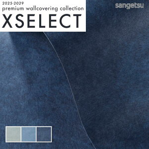 ǎ ̂t ̂Ȃ NX TQc a