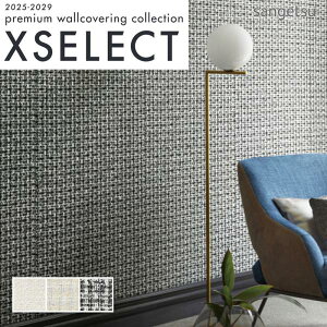 ǎ ̂t ̂Ȃ NX TQc D